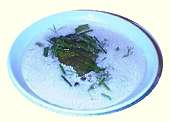 veloute