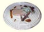 foiegras